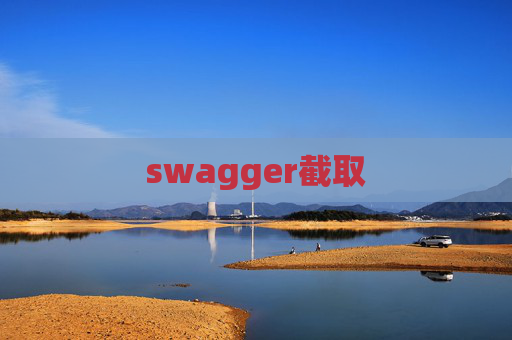swagger截取